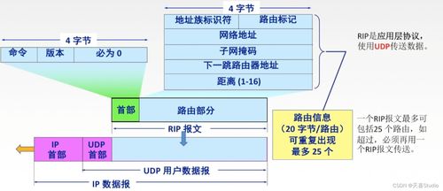 学习笔记 第四章 网络层 七千字详细配图